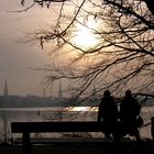 Ein winterlicher Alsterspaziergang