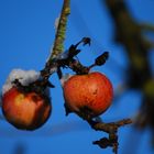 ein winterlicher Apfel :-))