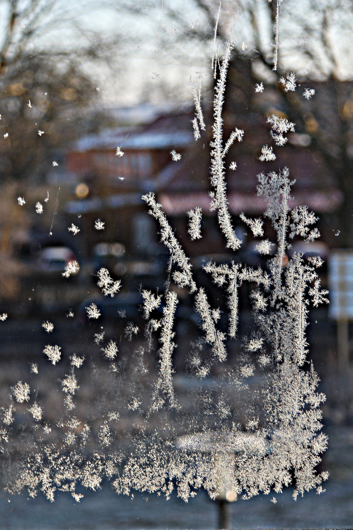 ein winterlicher Ausblick