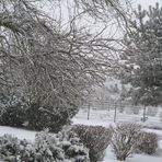 Ein winterlicher Blick aus meinem Stubenfenster