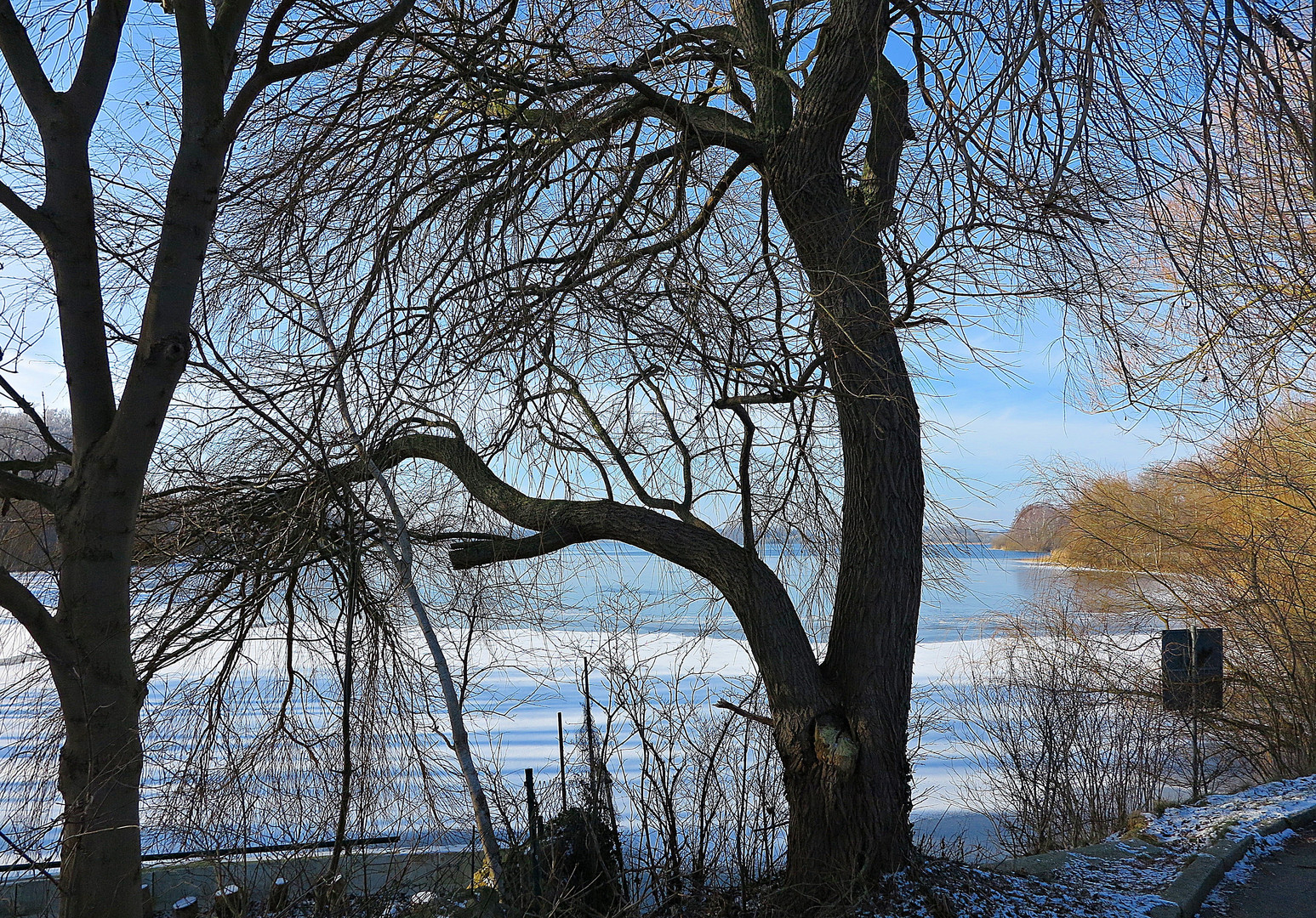 Ein winterlicher (Durch)Blick auf den Kleinen Plöner See