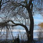 Ein winterlicher (Durch)Blick auf den Kleinen Plöner See