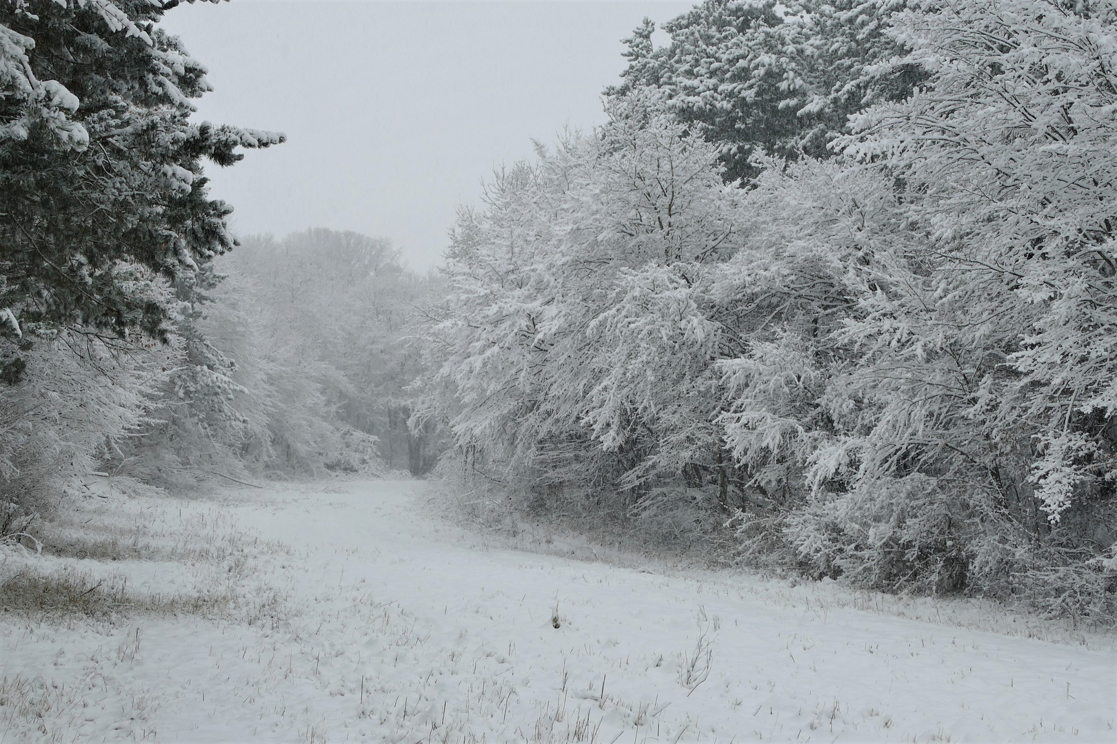 Ein winterlicher Durchblick