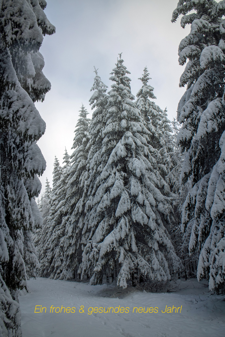 Ein winterlicher Gruß