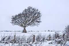 ein winterlicher Gruß ....