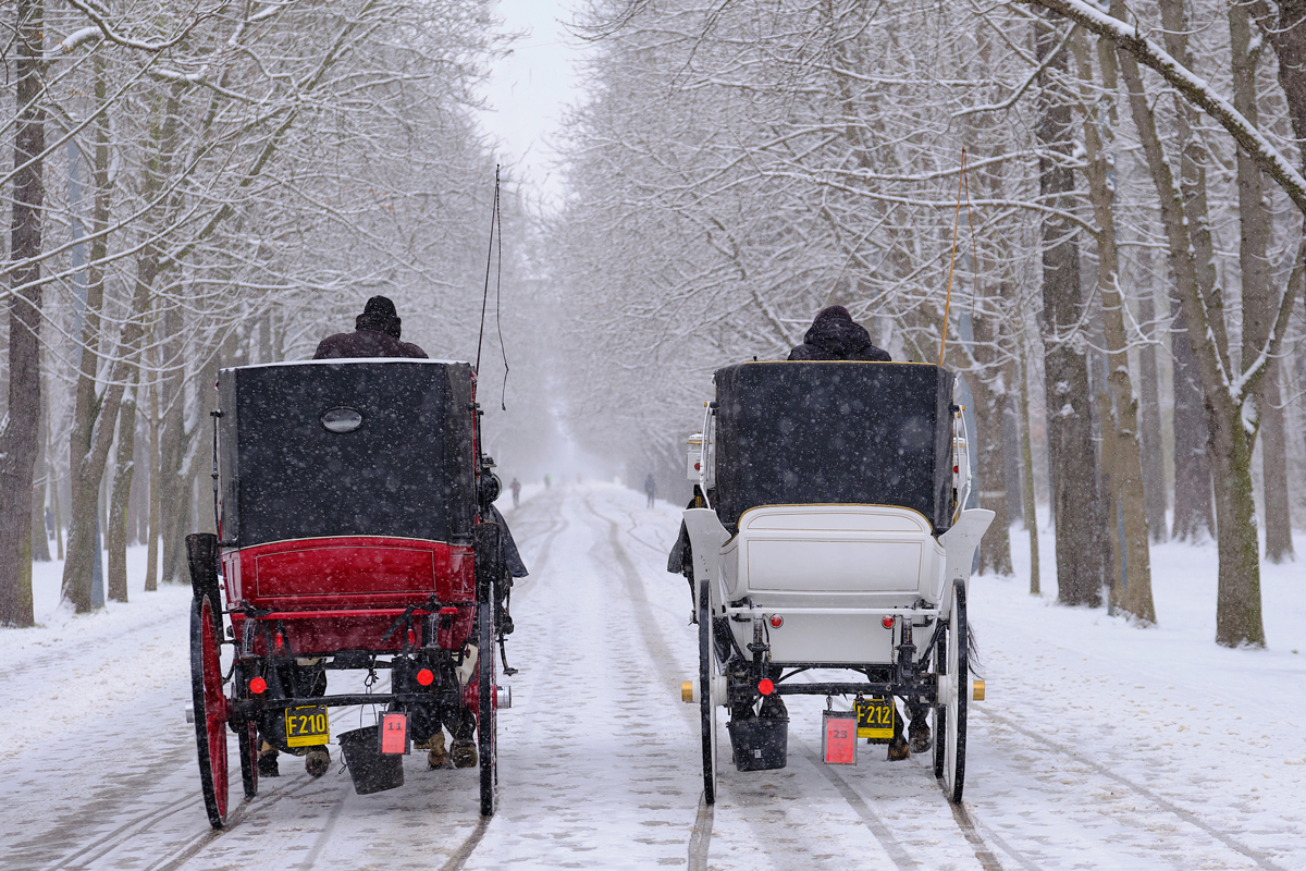 Ein winterlicher Gruss aus Wien