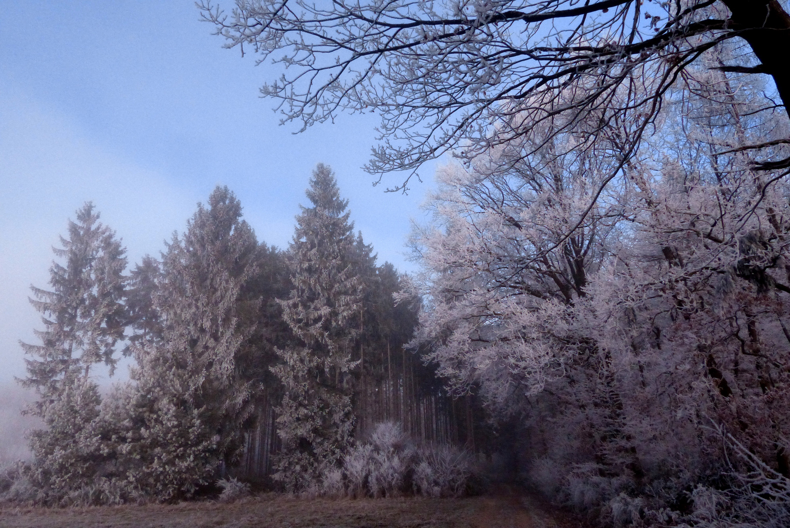 °°°° Ein winterlicher Morgen °°°°