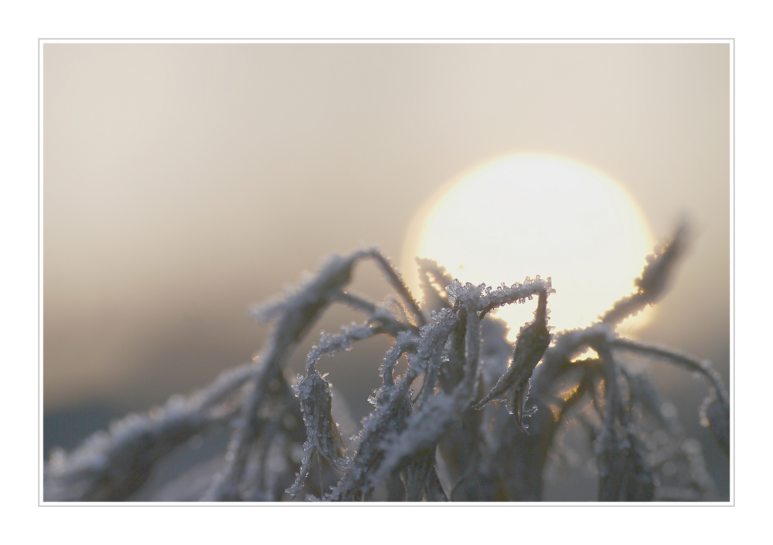 ein winterlicher Sonnenaufgang