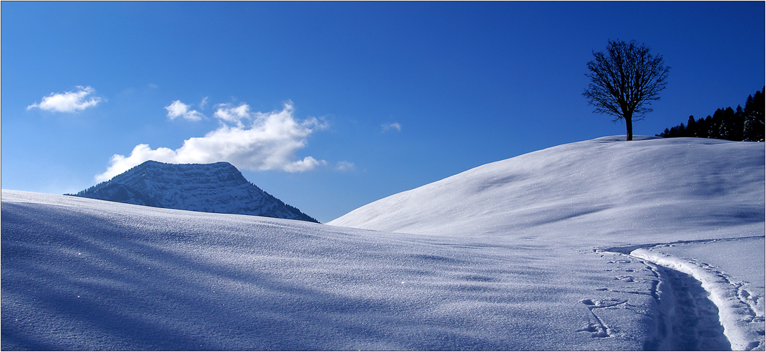 Ein winterlicher Traumtag