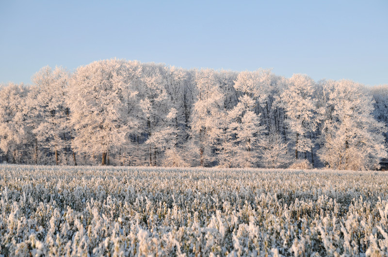 Ein Wintermärchen 02