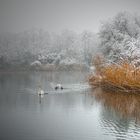 Ein Wintermärchen