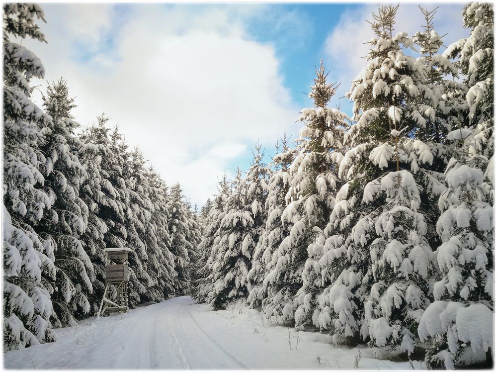 Ein Wintermärchen