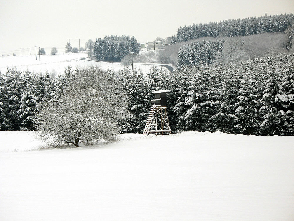 Ein Wintermärchen 2