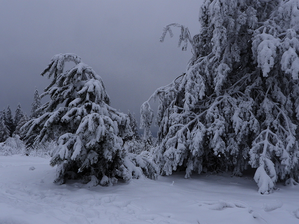 Ein Wintermärchen 2