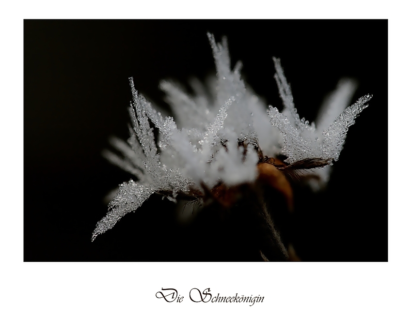 * Ein Wintermärchen *