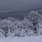 Ein Wintermärchen 3