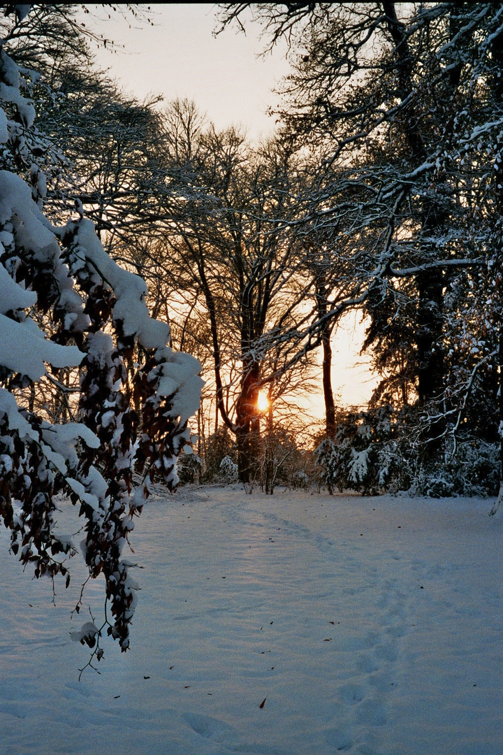 Ein Wintermärchen