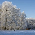 Ein Wintermärchen...