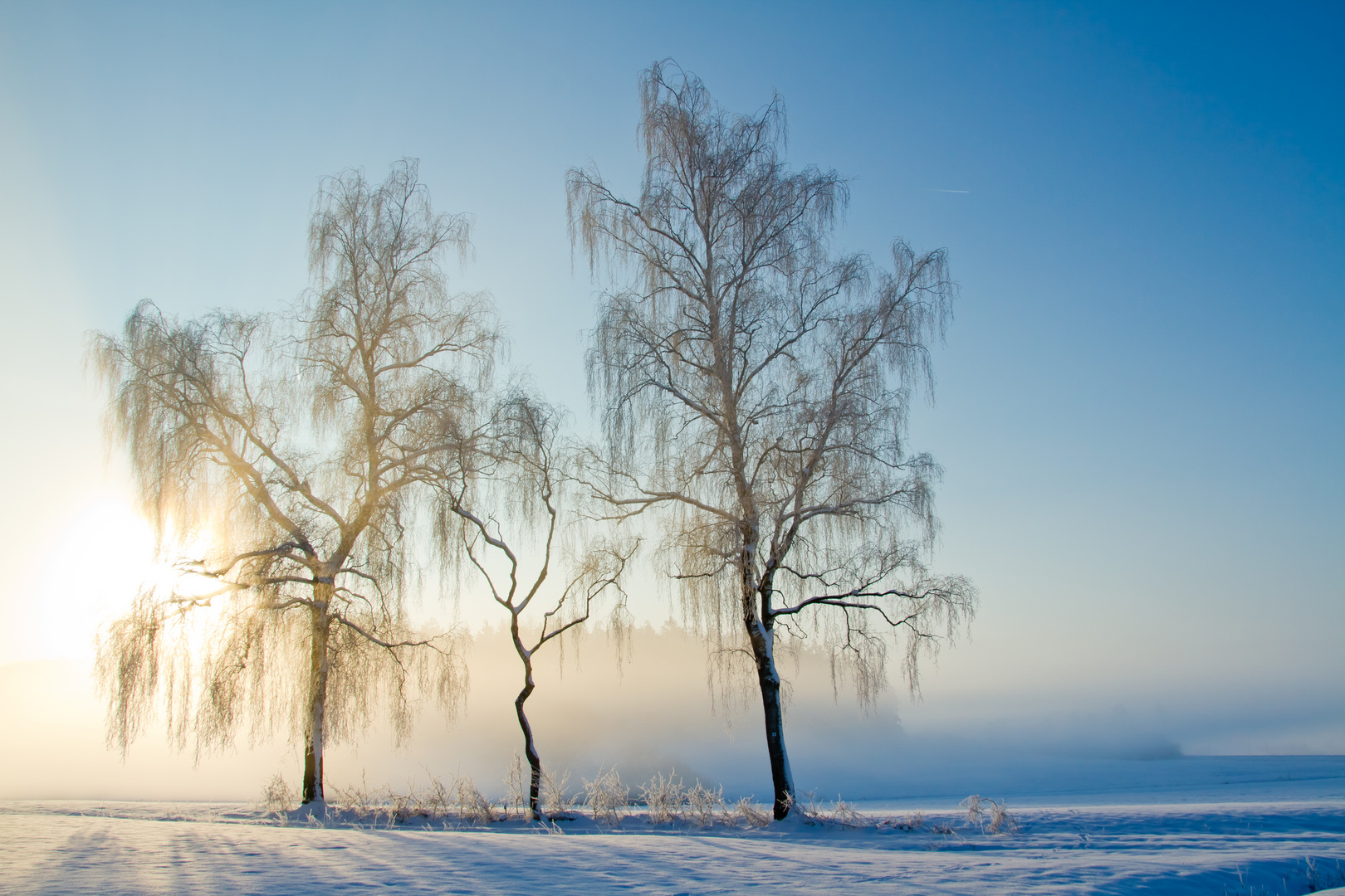 Ein Wintermärchen