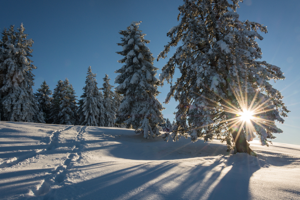 Ein Wintermärchen