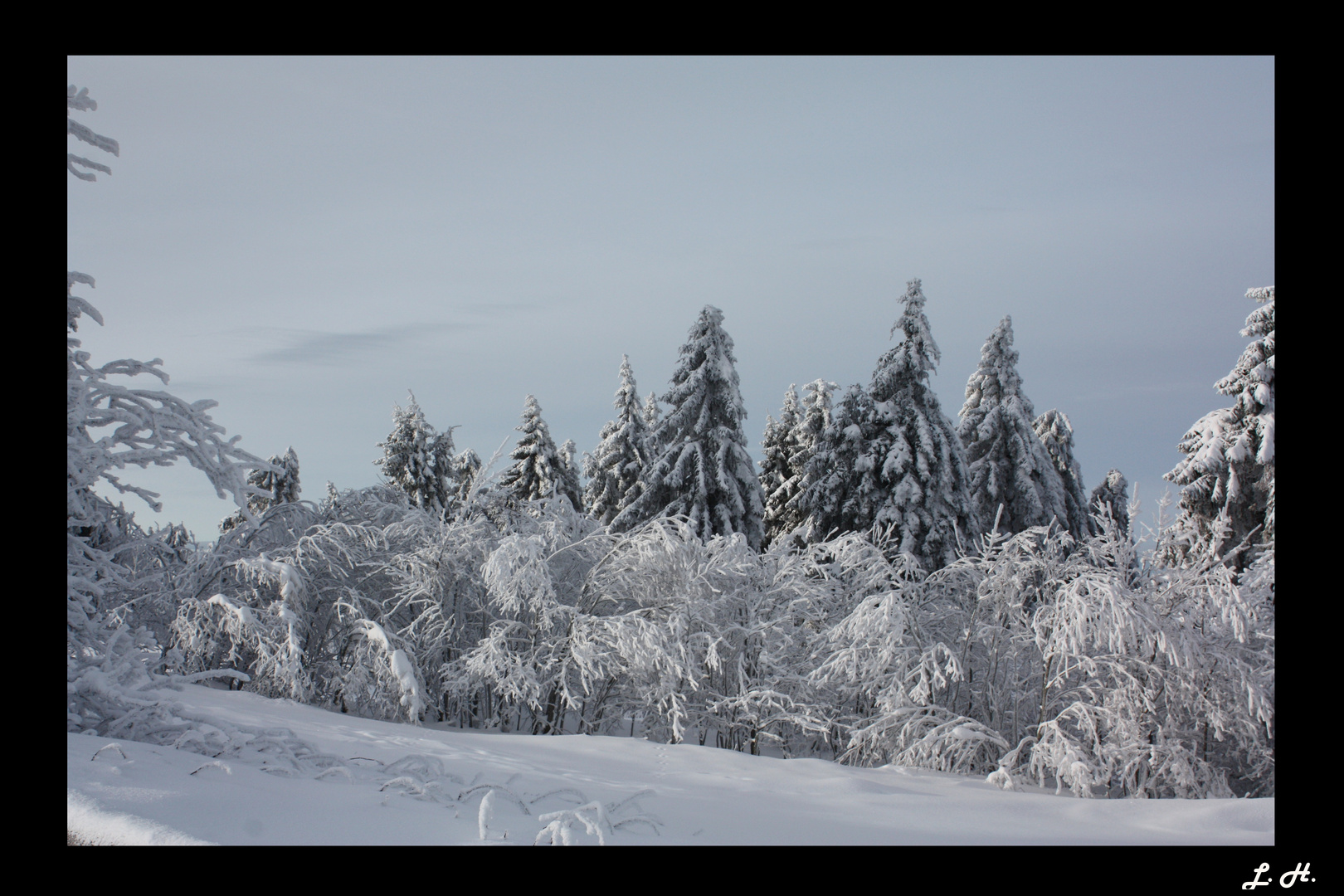 Ein Wintermärchen