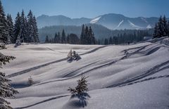 Ein Wintermärchen