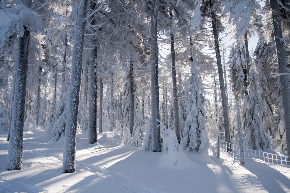 ein Wintermärchen