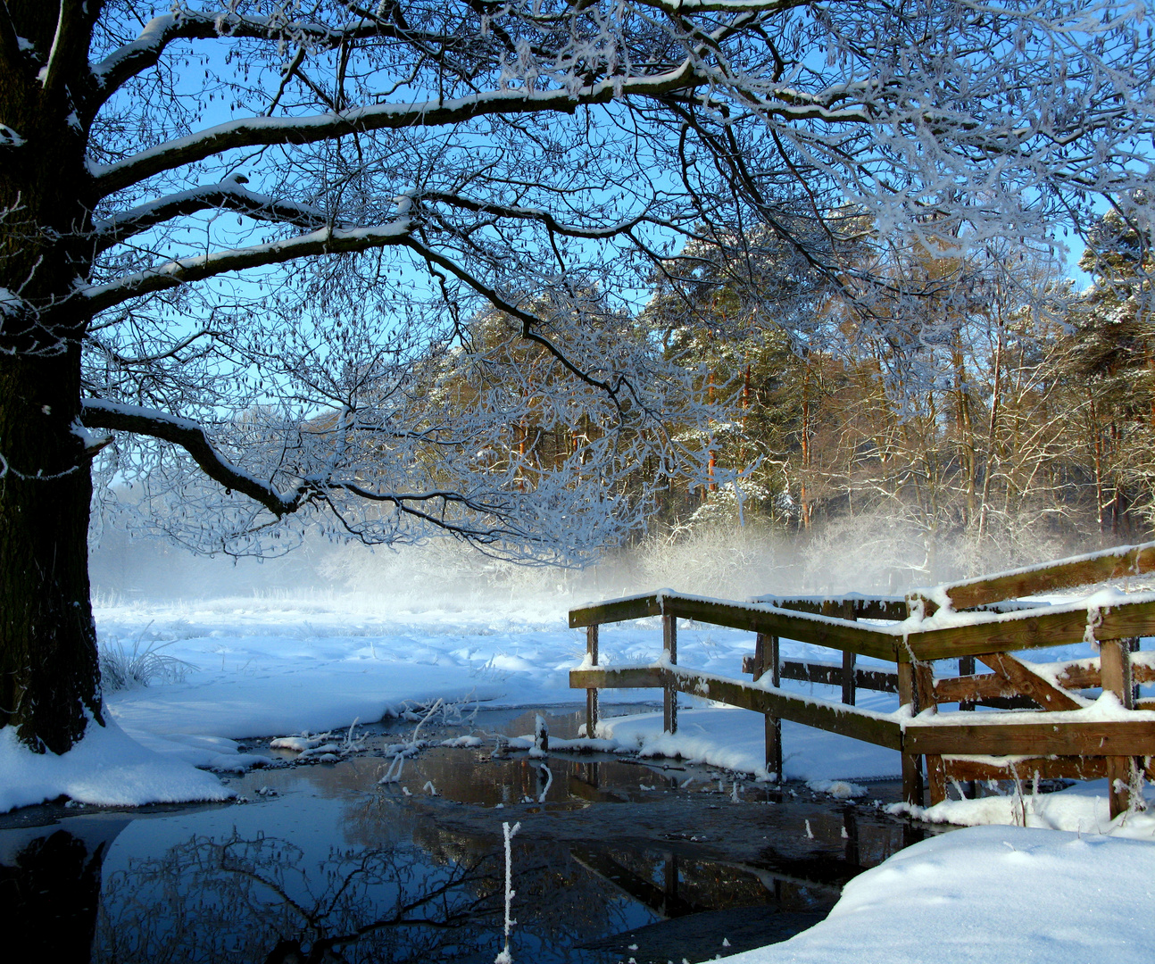 EIN WINTERMÄRCHEN Foto & Bild  jahreszeiten, winter, natur Bilder auf 
