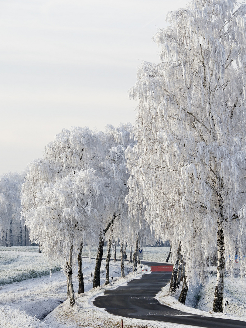 Ein Wintermärchen…