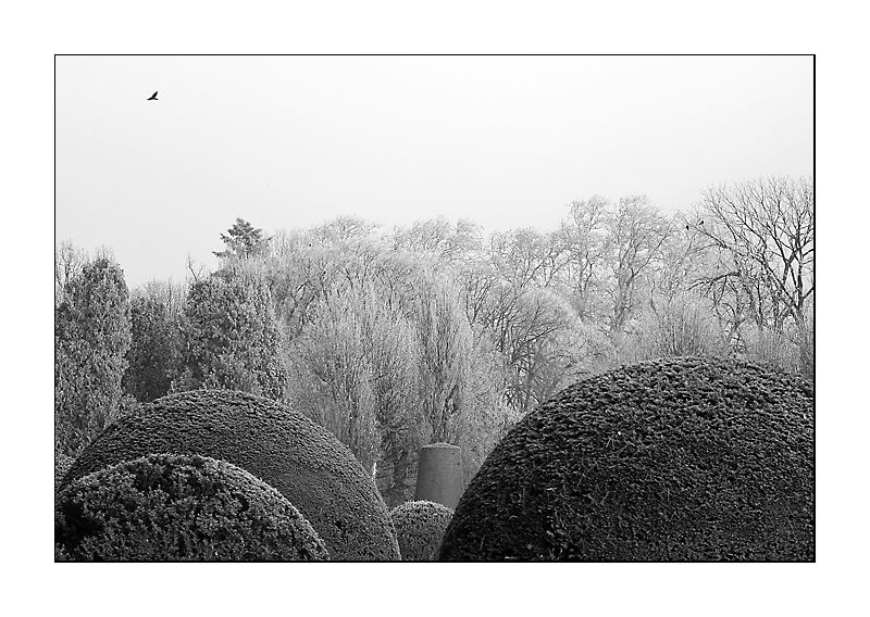 ein Wintermärchen