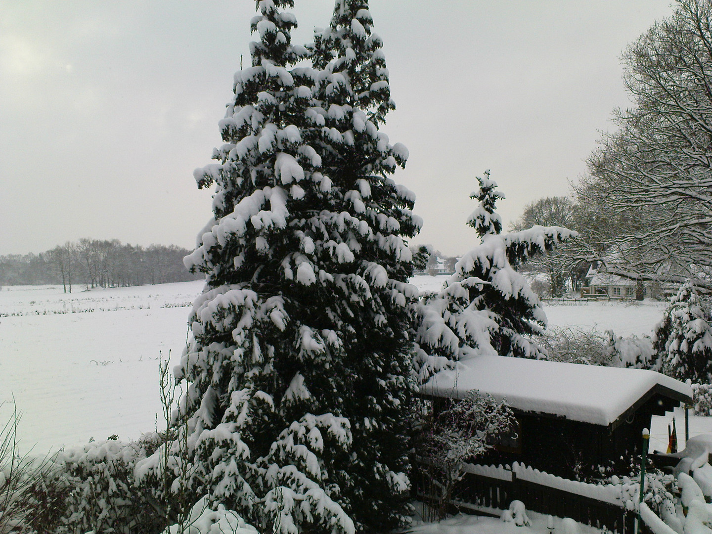 Ein Wintermärchen