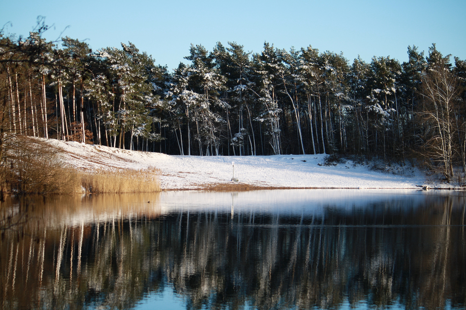 Ein Wintermärchen