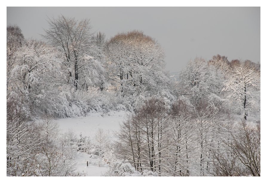 Ein Wintermärchen