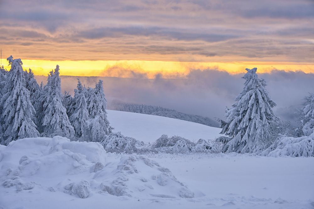 ein... Wintermärchen...