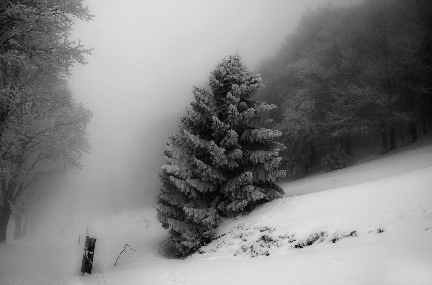 Ein Wintermärchen... 