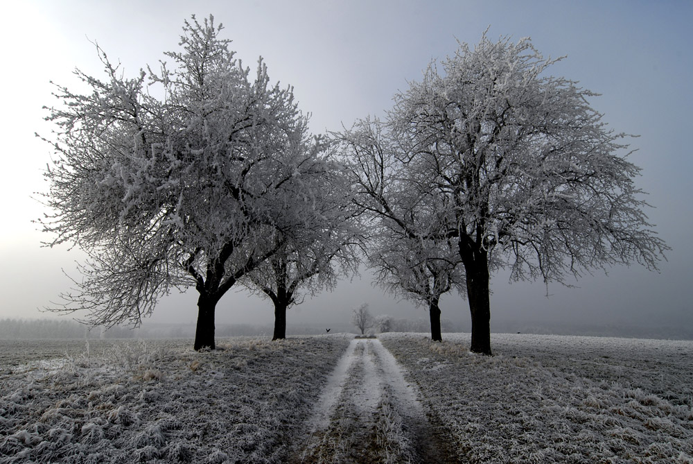 Ein Wintermärchen