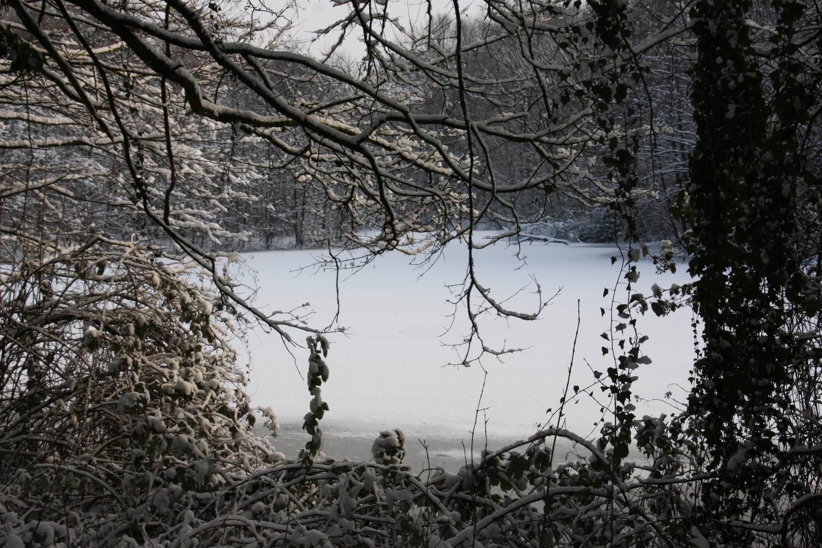 Ein Wintermärchen