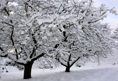 Ein Wintermärchen