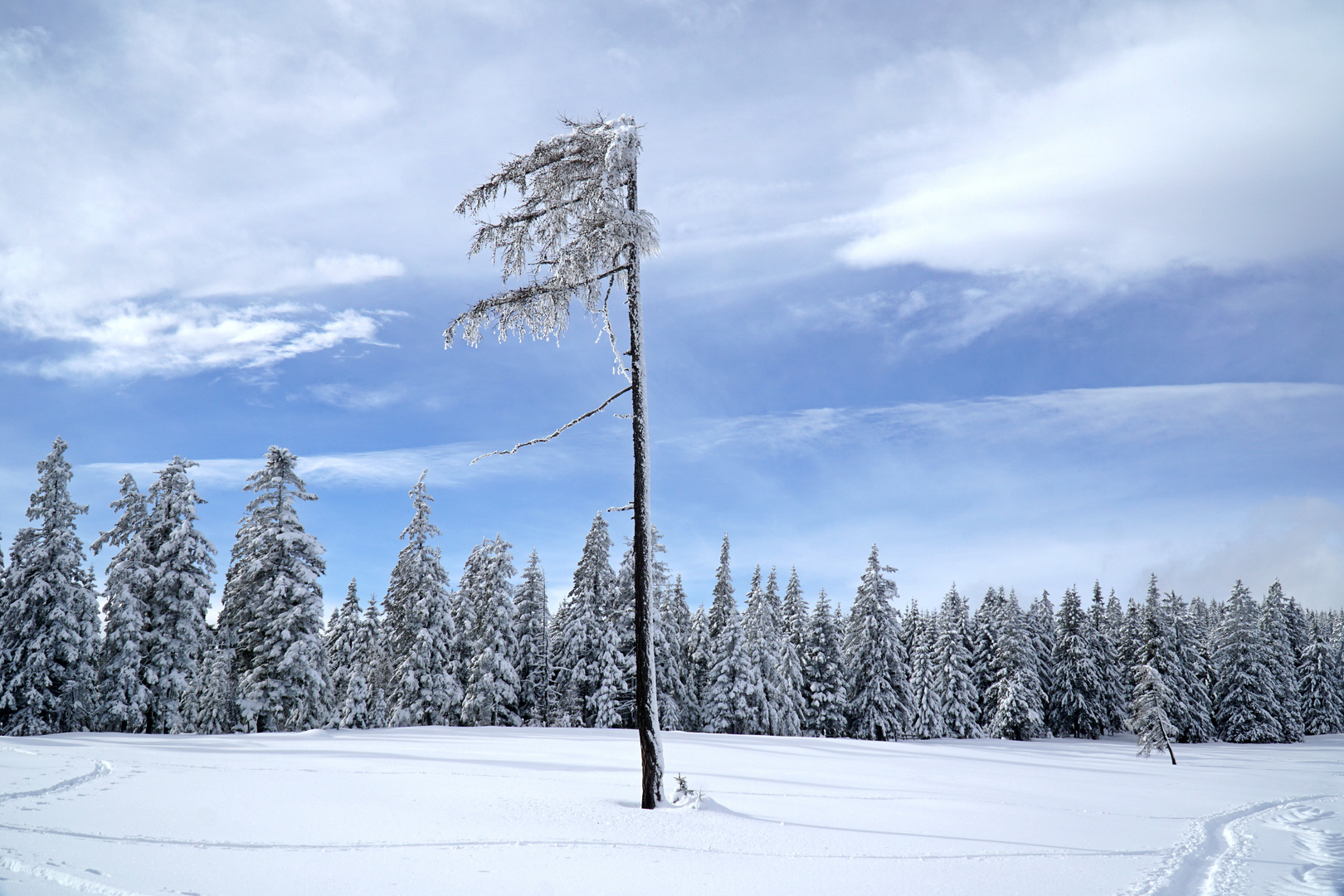 Ein Wintermärchen