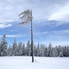 Ein Wintermärchen