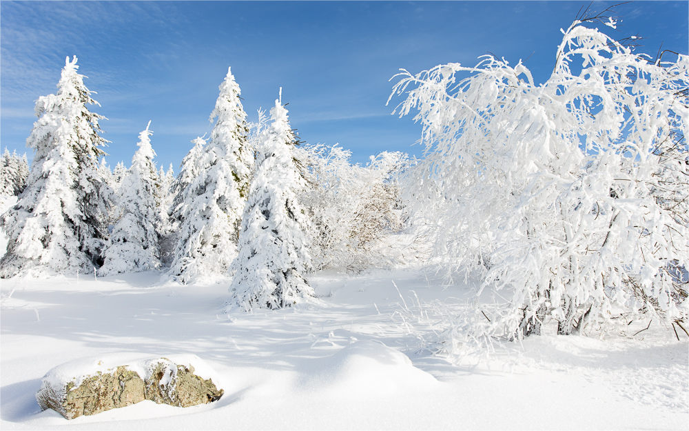 ein Wintermärchen...