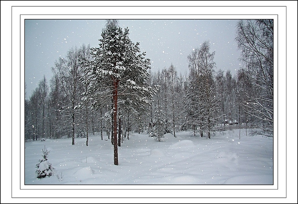 Ein Wintermärchen