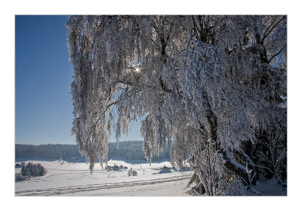 Ein Wintermärchen