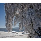 Ein Wintermärchen