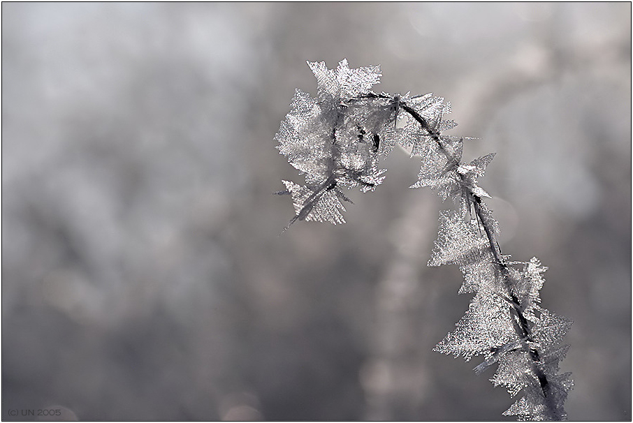 Ein Wintermärchen III