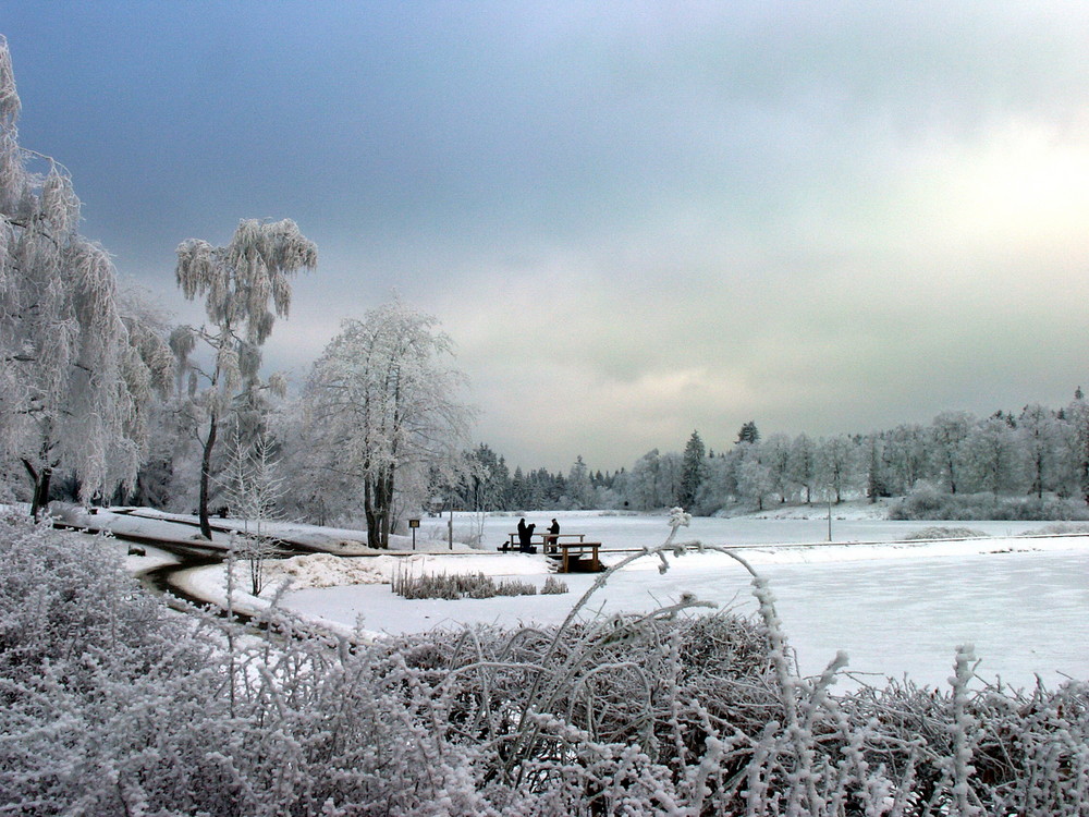 Ein Wintermärchen in Farbe