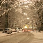 Ein Wintermärchen in Hamburg Groß Borstel! / Un cuento invierno en Hamburgo Groß Borstel!