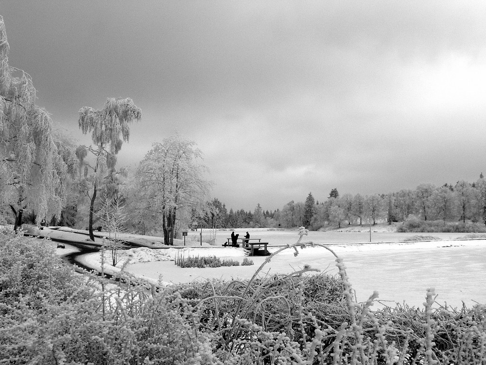 ein Wintermärchen in s/w