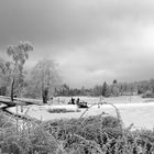 ein Wintermärchen in s/w