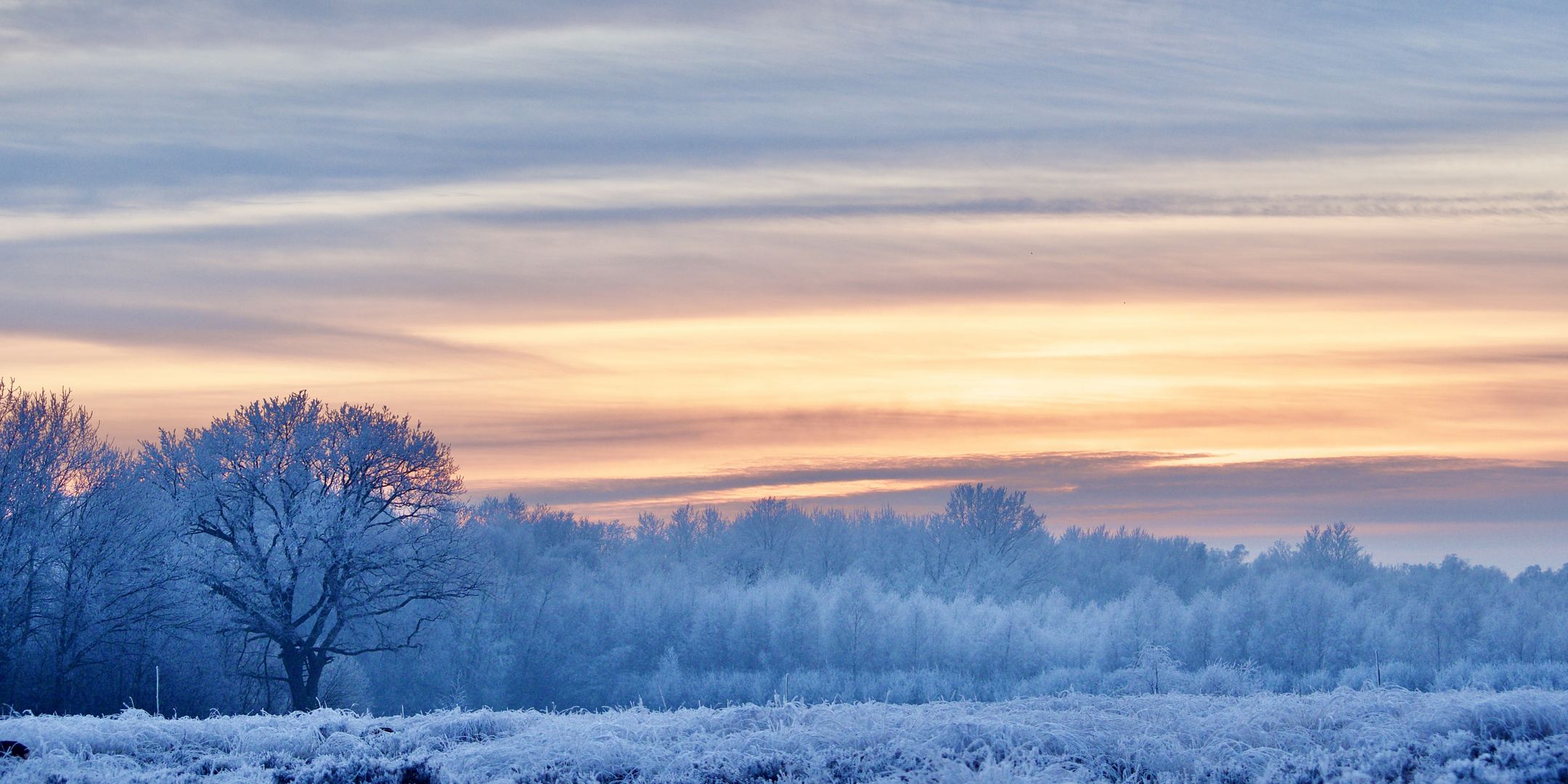 Ein Wintermärchen …IX